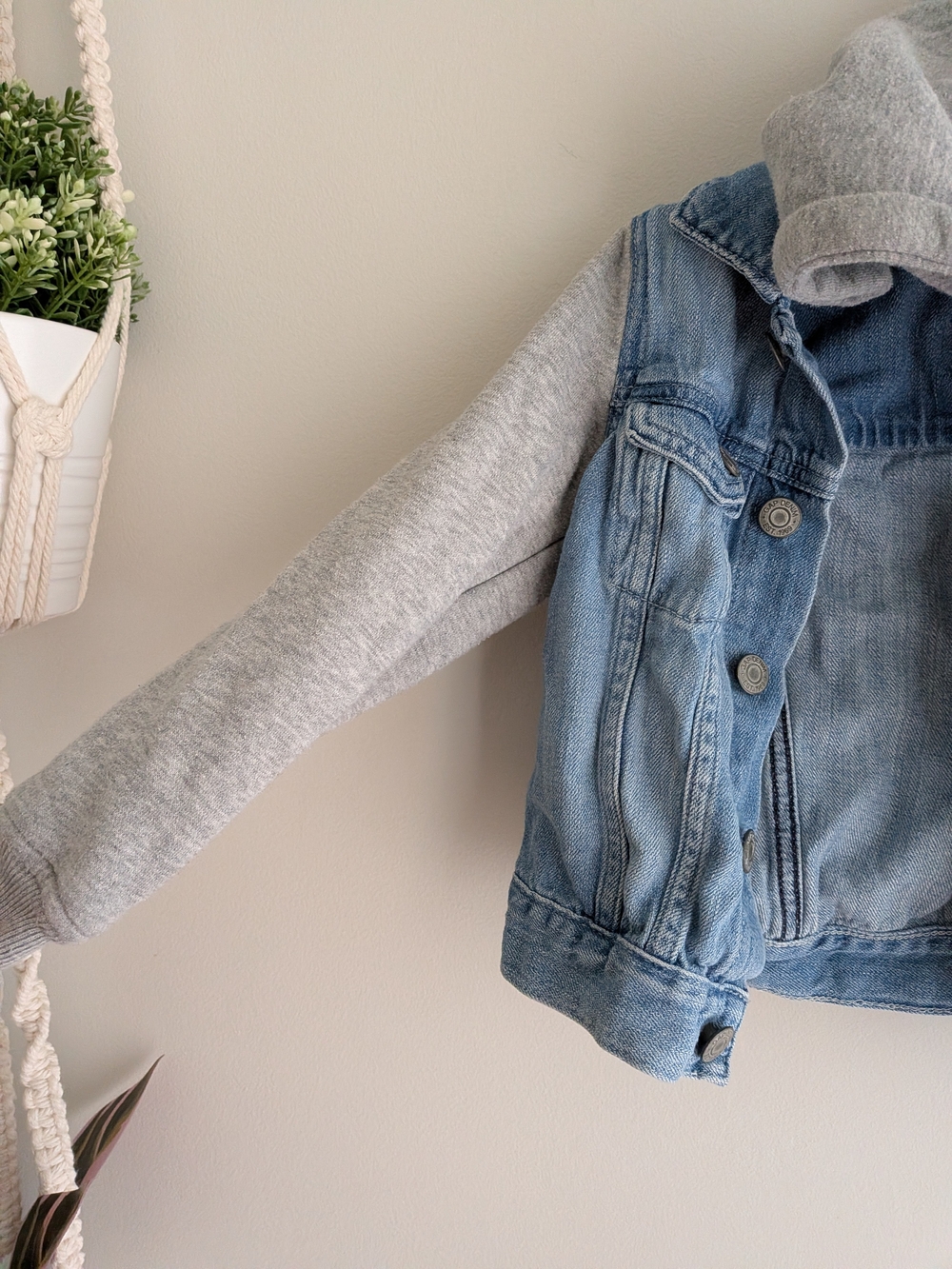 GAP Light Blue Denim Jacket with Gray Hoodie Sleeves - Picture 4 of 6